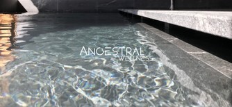 piscine miroir detail.jpg